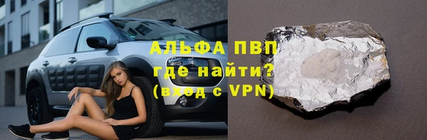 прущие грибы Абаза