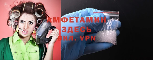 прущие грибы Абаза