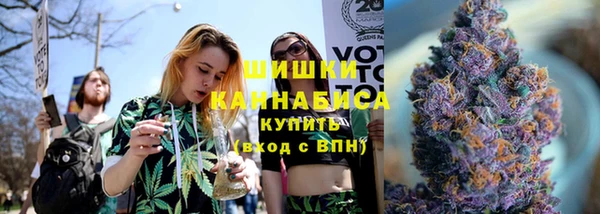 прущие грибы Абаза