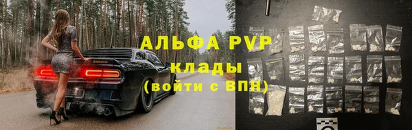 прущие грибы Абаза
