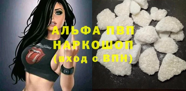 прущие грибы Абаза