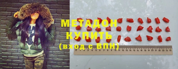 прущие грибы Абаза