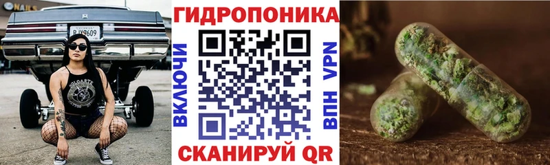 Канабис семена  мориарти какой сайт  Абаза 